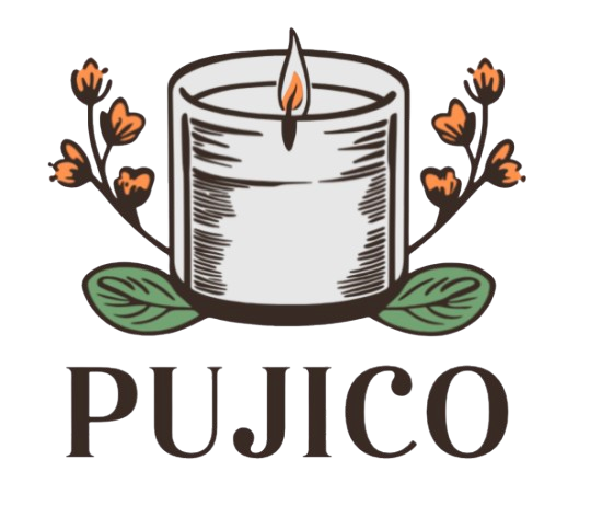 Pujico Store